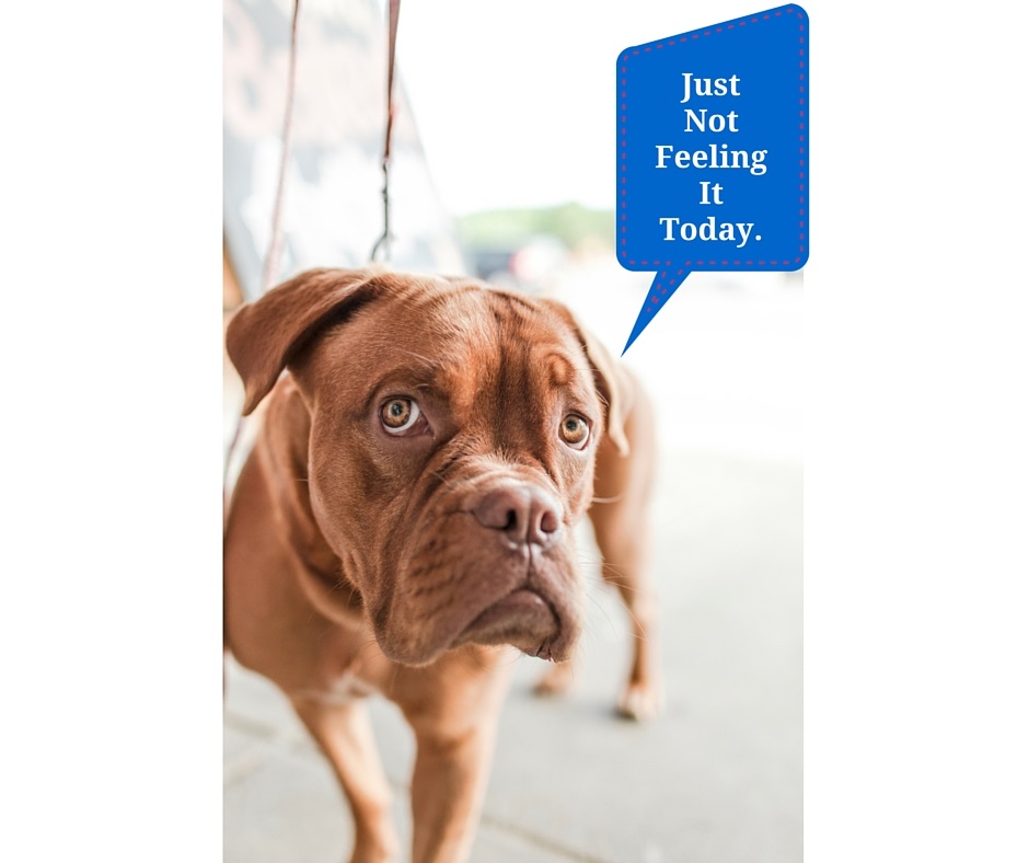 Just Not Feeling It Today