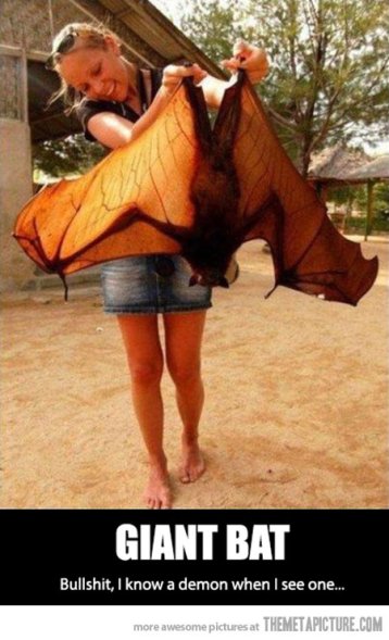 bat-demon