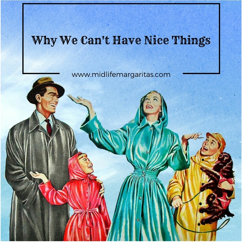Why We Can Never Have Nice Things (1)