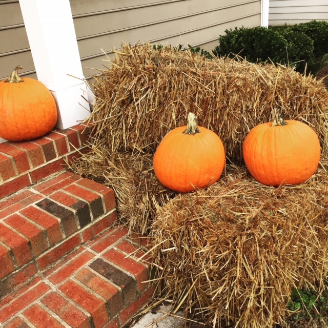 porchpumpkins