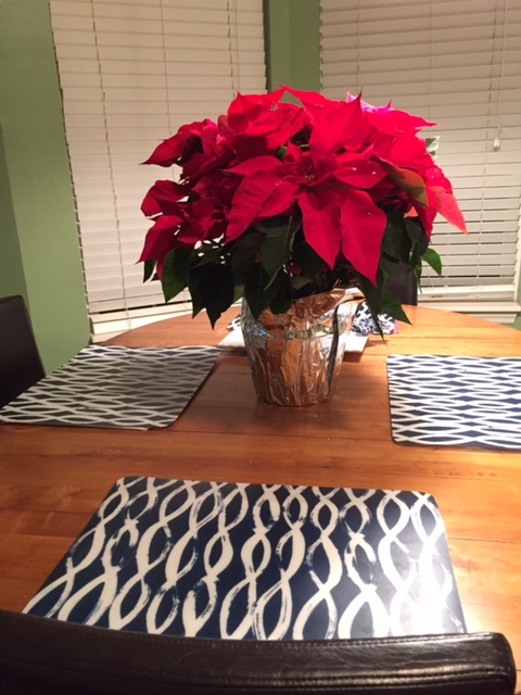 poinsettia