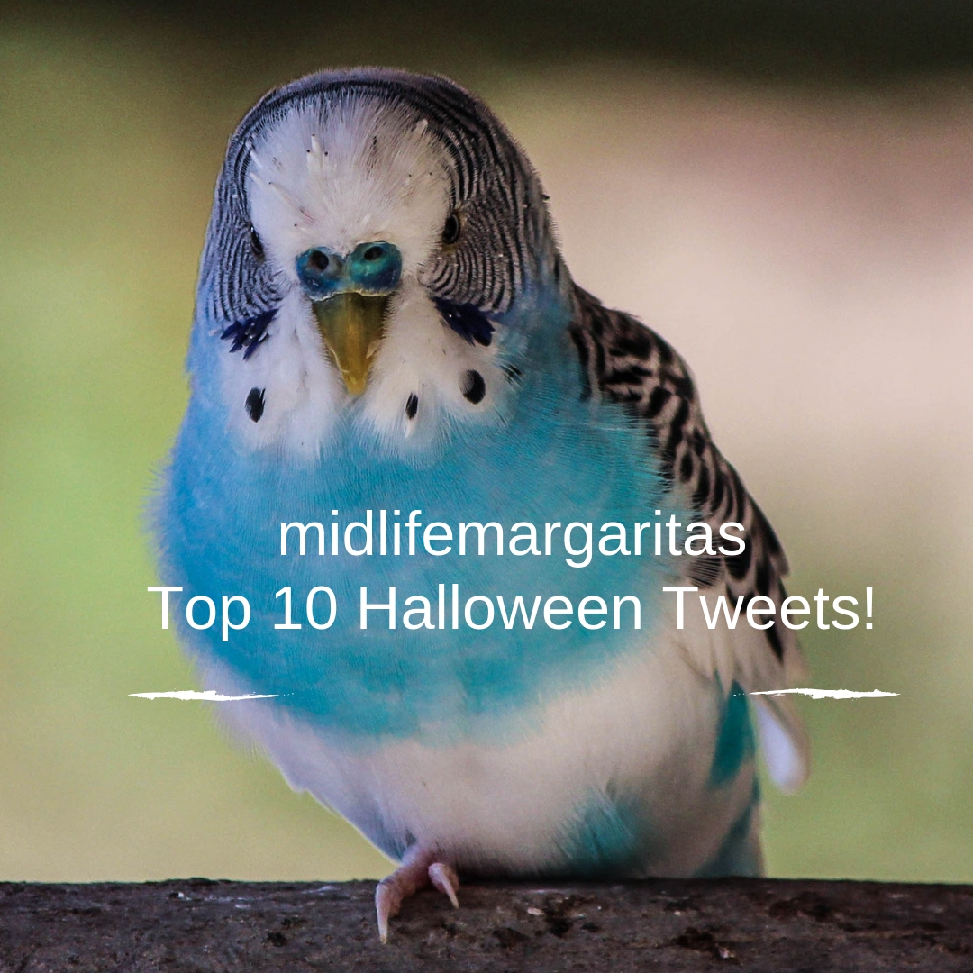 halloweentweets1