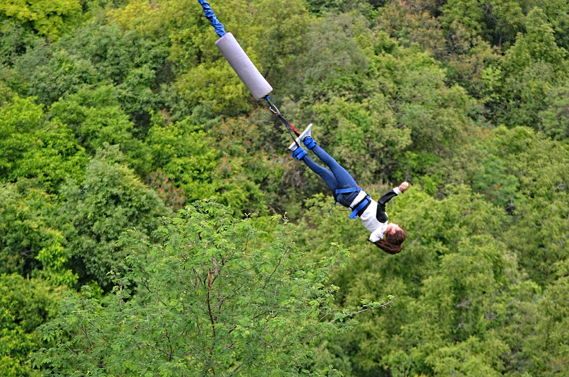 bungee